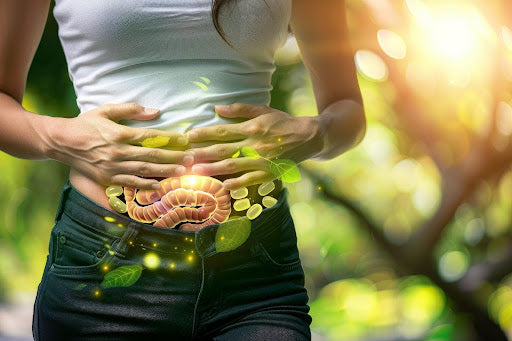 Meal Replacements and Gut Health: Does a Shake Heal Your Guts?