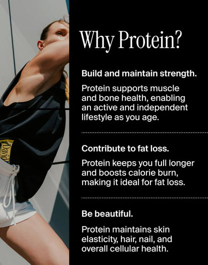 David Bars 28g High-Protein | Blueberry Pie Bar (1ct)